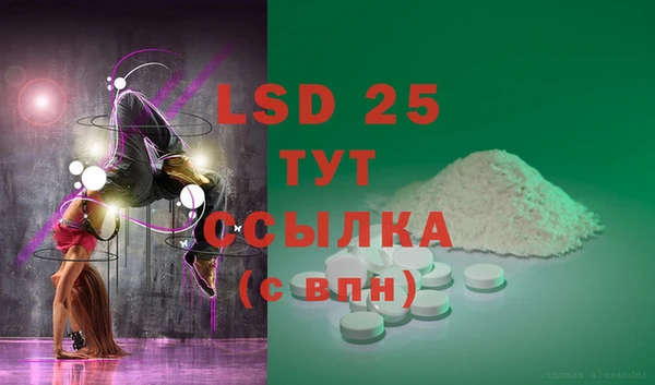 стаф Заводоуковск