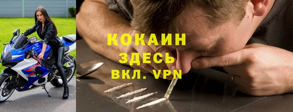 стаф Заводоуковск